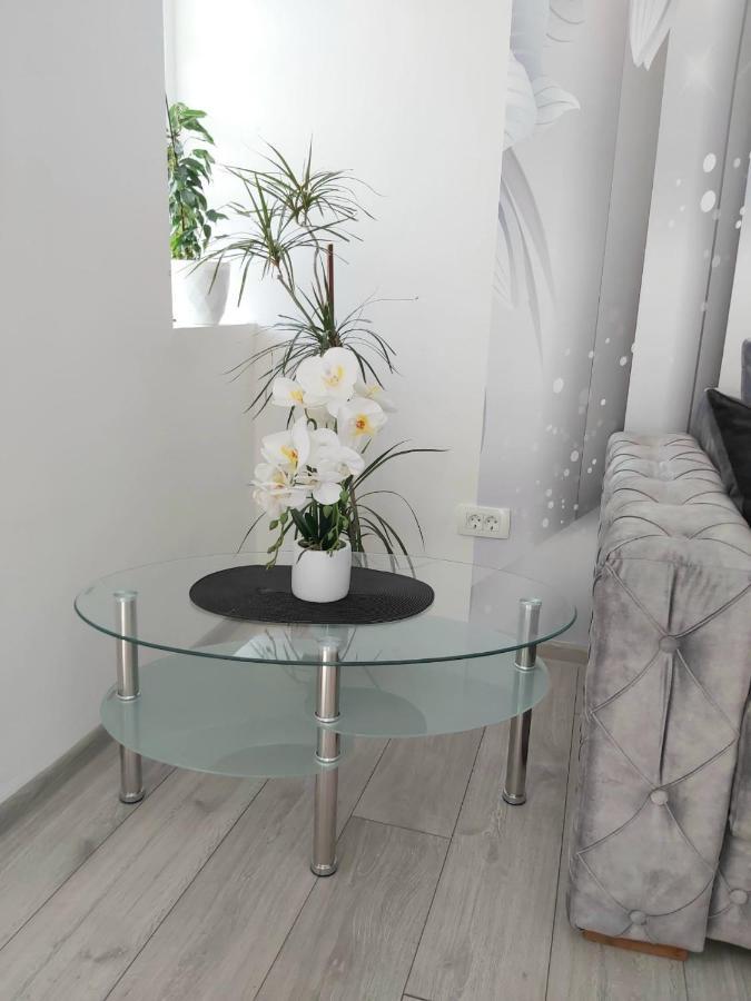 Apartment Marina 2 Kotor Buitenkant foto